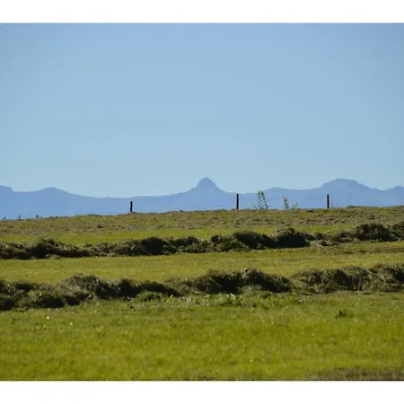 Alex Bergblick 샤이데크