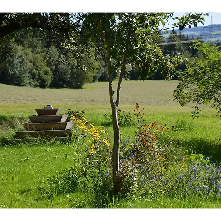 Apartment Alex Bergblick *